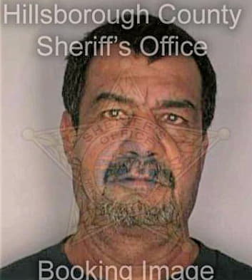 Henriquez Antonio - Hillsborough County, FL 
