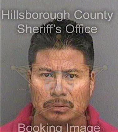 Roblero Arvides - Hillsborough County, FL 