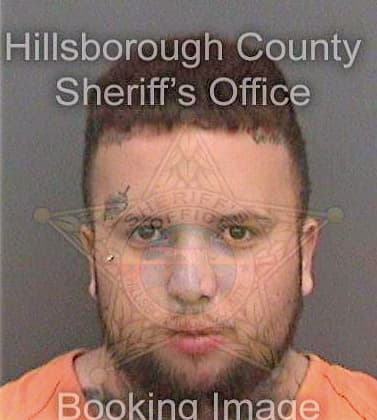 Martinez Richard - Hillsborough County, FL 