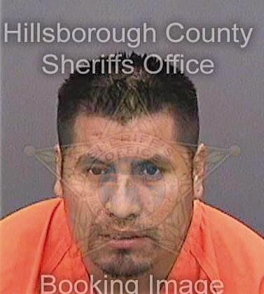Josereyes Alfonso - Hillsborough County, FL 