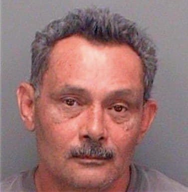 Rivera Angelo - Pinellas County, FL 
