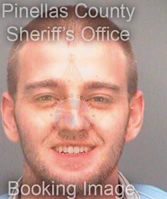 Tompkinsholmes Dylan - Pinellas County, FL 