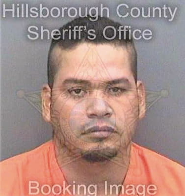 Perezjaimez Ernesto - Hillsborough County, FL 