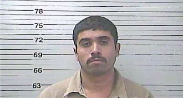 Hernandez Francisco - Harrison County, MS 