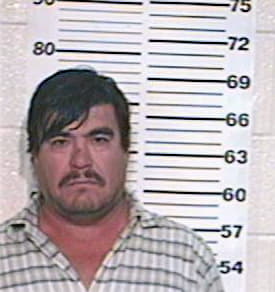 Guerra Roel - Hidalgo County, TX 
