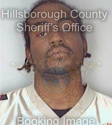 Sejour Dimitry - Hillsborough County, FL 
