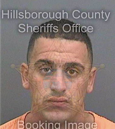 Odeh Ahmad - Hillsborough County, FL 