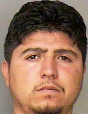 Torres Baldemar - Polk County, FL 