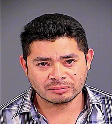 Servellon Elias - Charleston County, SC 
