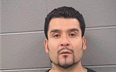 Gonzalez Fernando - Cook County, IL 