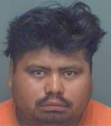 Diaz Iasias - Pinellas County, FL 