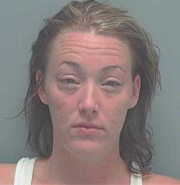 Boudreau Jamie - Lee County, FL 