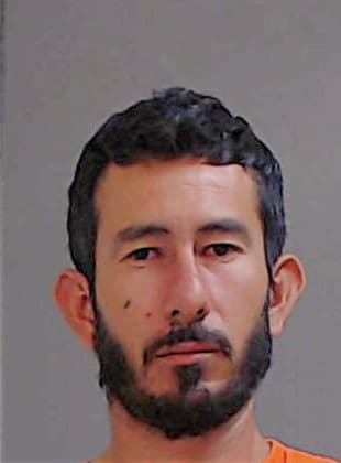 Andrade Joshio - Hidalgo County, TX 