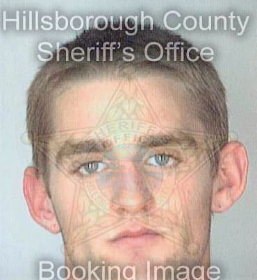 Cummings Michael - Hillsborough County, FL 