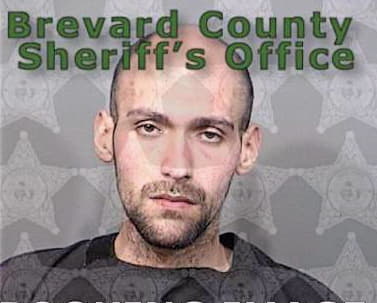 Delanuez Michael - Brevard County, FL 
