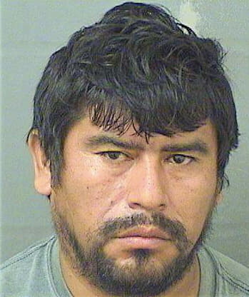 Escobartapia Ronald - PalmBeach County, FL 