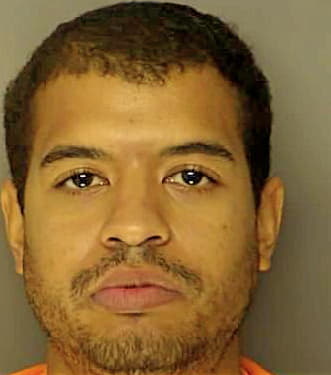 Richardson Steven - Horry County, SC 