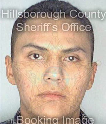 Perry Gregg - Hillsborough County, FL 