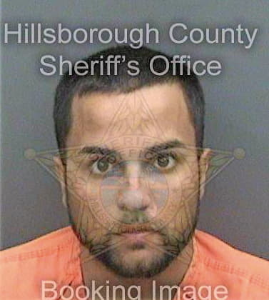 Menendez Jonathan - Hillsborough County, FL 