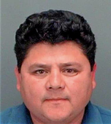 Rodrigueztorres Ramon - Pinellas County, FL 