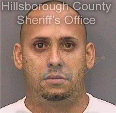 Sotovazquez Edward - Hillsborough County, FL 