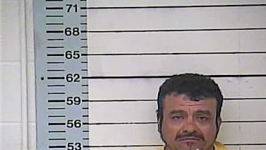 Cioello Enrique - Desoto County, MS 