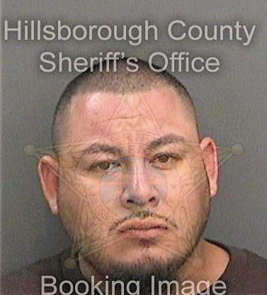 Sanchezvasquez Erik - Hillsborough County, FL 