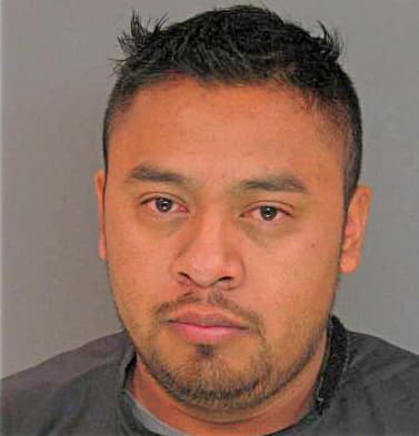 Mendez Jose - Anderson County, SC 