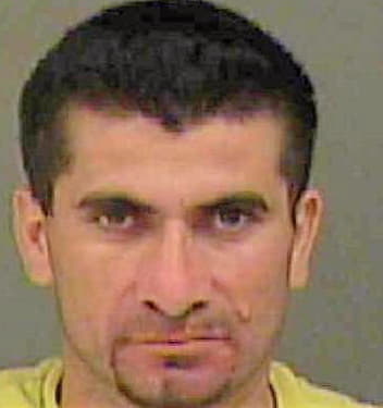 Castellanos Melvin - Mecklenburg County, NC 