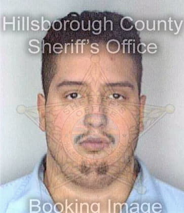 Diaz Obed - Hillsborough County, FL 
