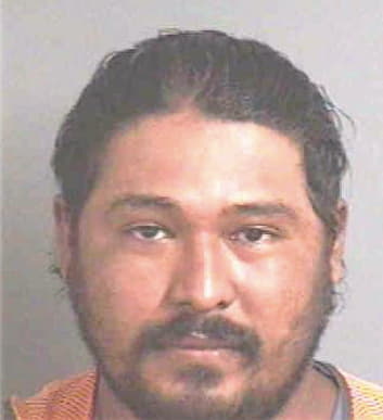 Rosasas Polito - Polk County, FL 