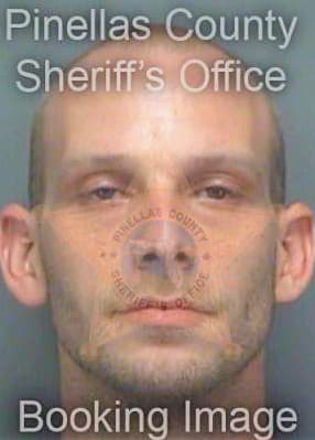 Dillon Christopher - Pinellas County, FL 