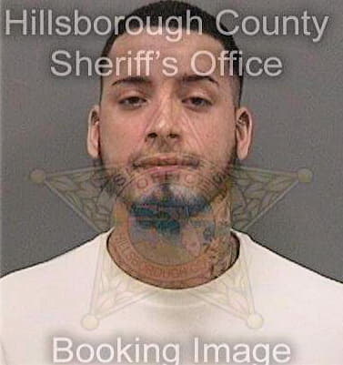 Monagas Ismael - Hillsborough County, FL 