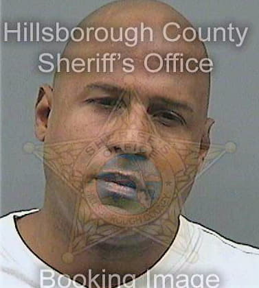 Herrera Orlando - Hillsborough County, FL 