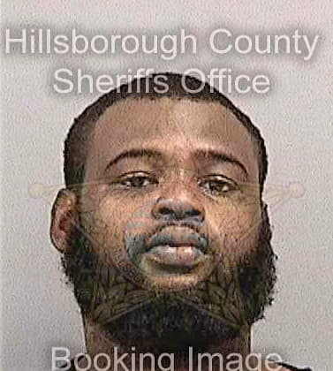 Burns Travoris - Hillsborough County, FL 