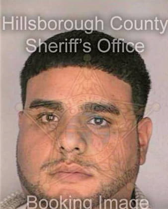 Avenoso Domenico - Hillsborough County, FL 