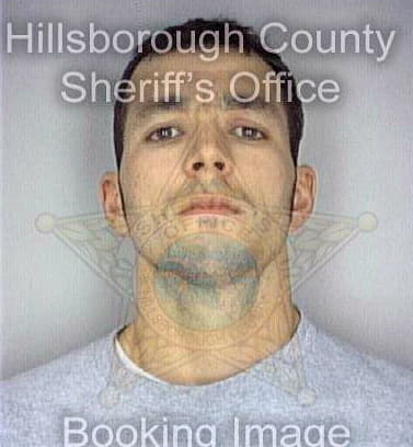 Fleming Kenneth - Hillsborough County, FL 