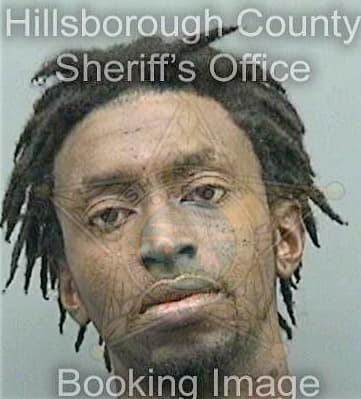 Hightower Reginald - Hillsborough County, FL 