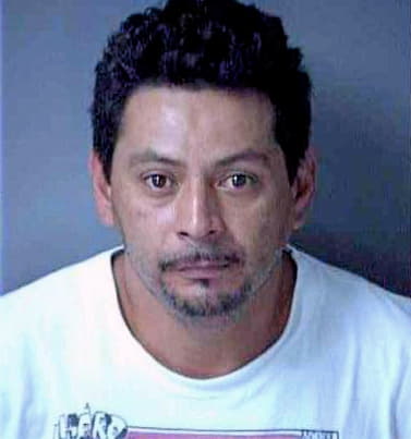 Martinez Toribio - Lee County, FL 