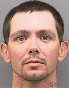 Flynn Jason - Hillsborough County, FL 