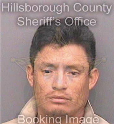 Alvaradovelazquez Mihuzar - Hillsborough County, FL 