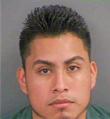 Sanjuansanjuan Sergio - Collier County, FL 