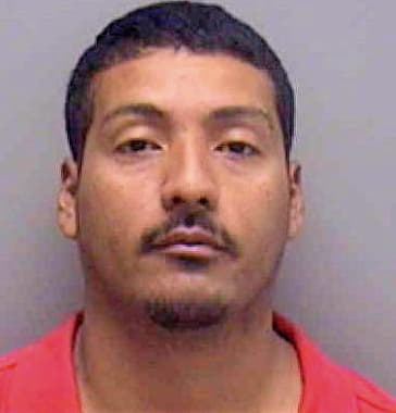 Ramirez Antonio - Lee County, FL 