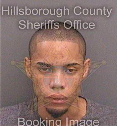 Mitchell Donovan - Hillsborough County, FL 