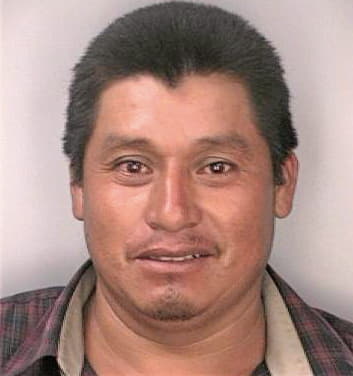Ramerez Genaro - Hillsborough County, FL 