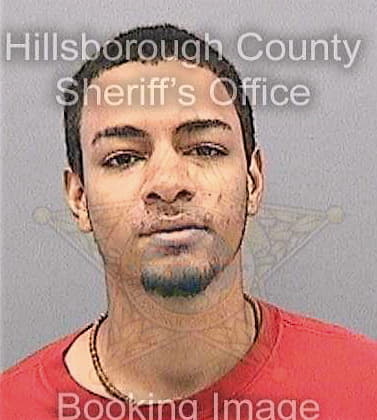 Bonney Robert - Hillsborough County, FL 