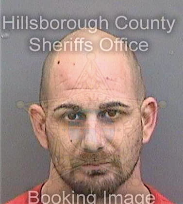 Tomer Robert - Hillsborough County, FL 