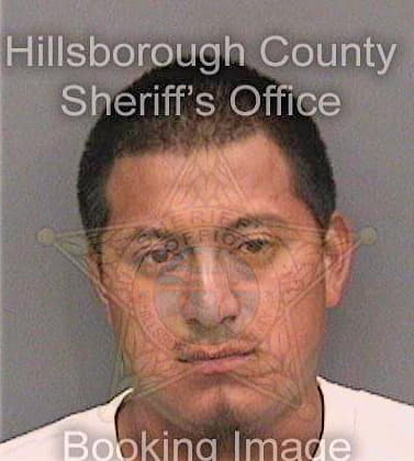 Ramirezsargento Wilser - Hillsborough County, FL 
