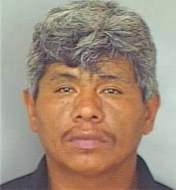 Perez Apoliner - Polk County, FL 