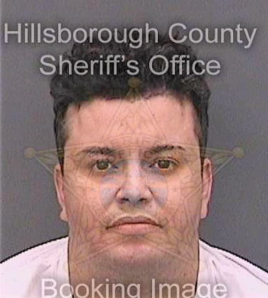 Cintron Arnaldo - Hillsborough County, FL 